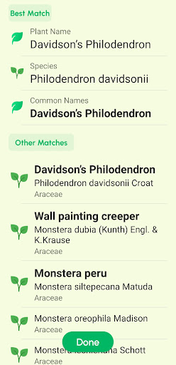 Screenshot Plant Identifier App