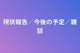 現状報告／今後の予定／雑談