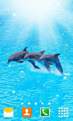 Dolphin Live Wallpaper