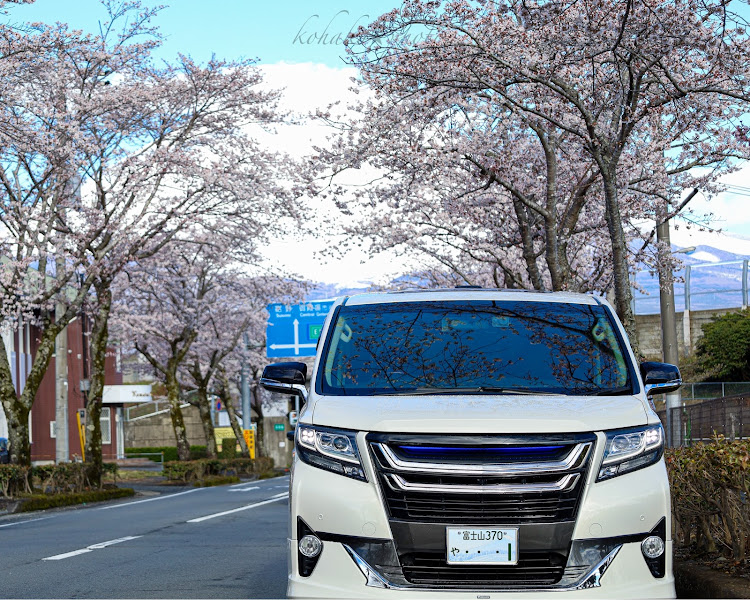 アルファードのdiscover＿ct・DISCOVER CARTUNE・桜とコラボ🌸・富士山と愛車・ご当地ナンバーに関するカスタム事例の投稿画像3枚目