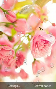How to mod Pink Flowers Wallpaper 1.6 apk for android