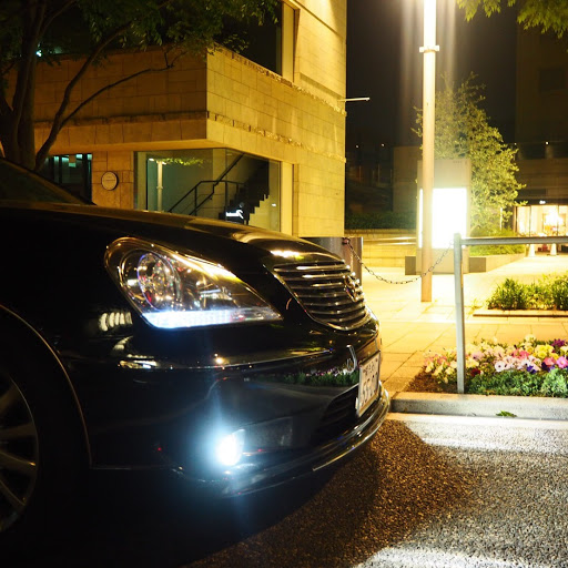 MAJESTAオーナーのプロフィール画像