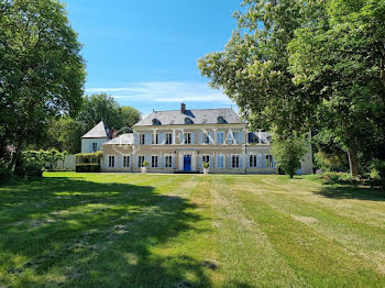 château à Vierzon (18)