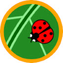 Ladybirds Chrome extension download