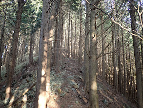 山頂へ最後の登り