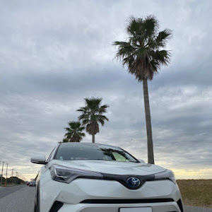 C-HR ZYX10