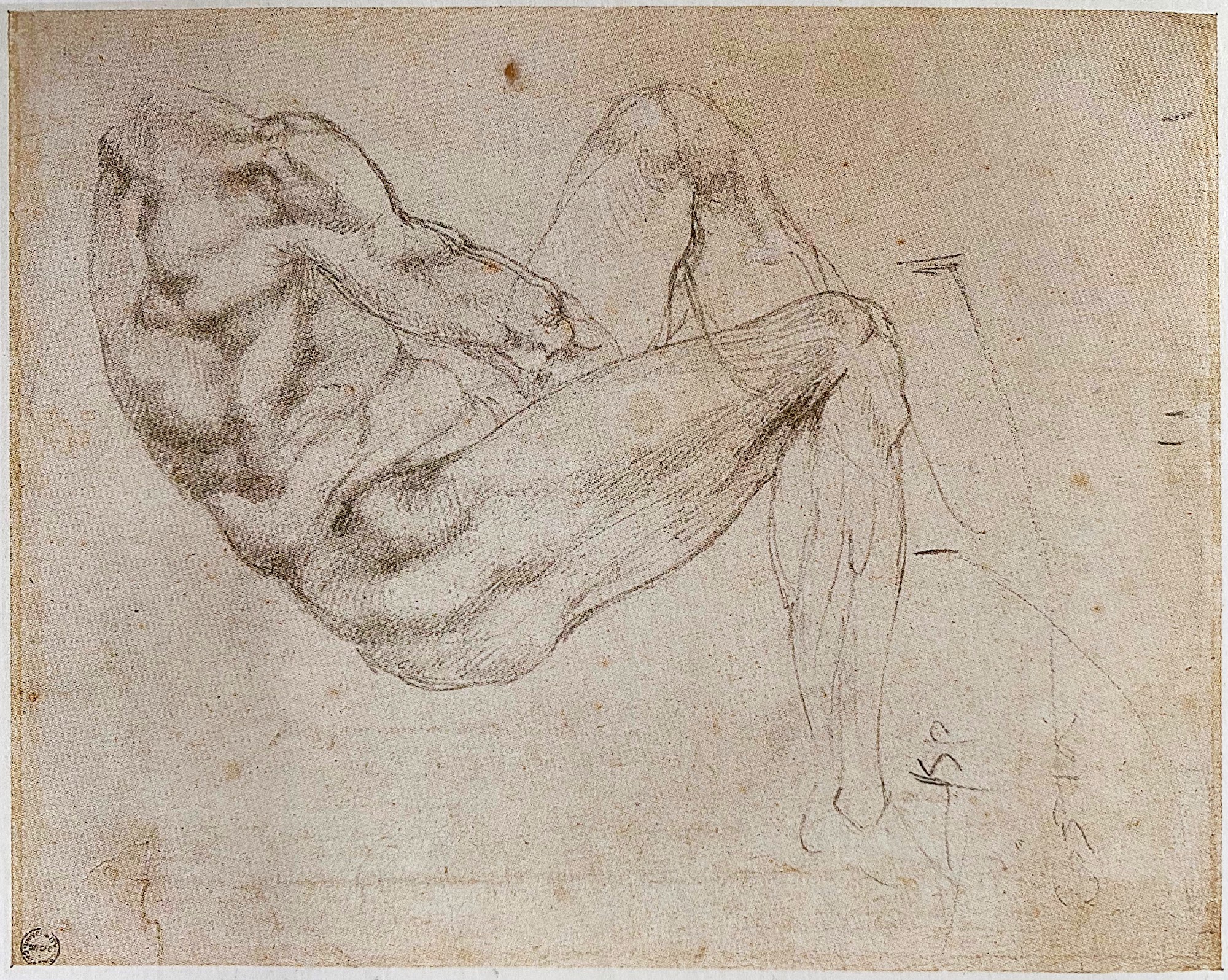 Michelangelo Buonarrotti, Ontwerptekening voor de Dag, ca. 1524-1525, Asmolean Museum (Oxford)

