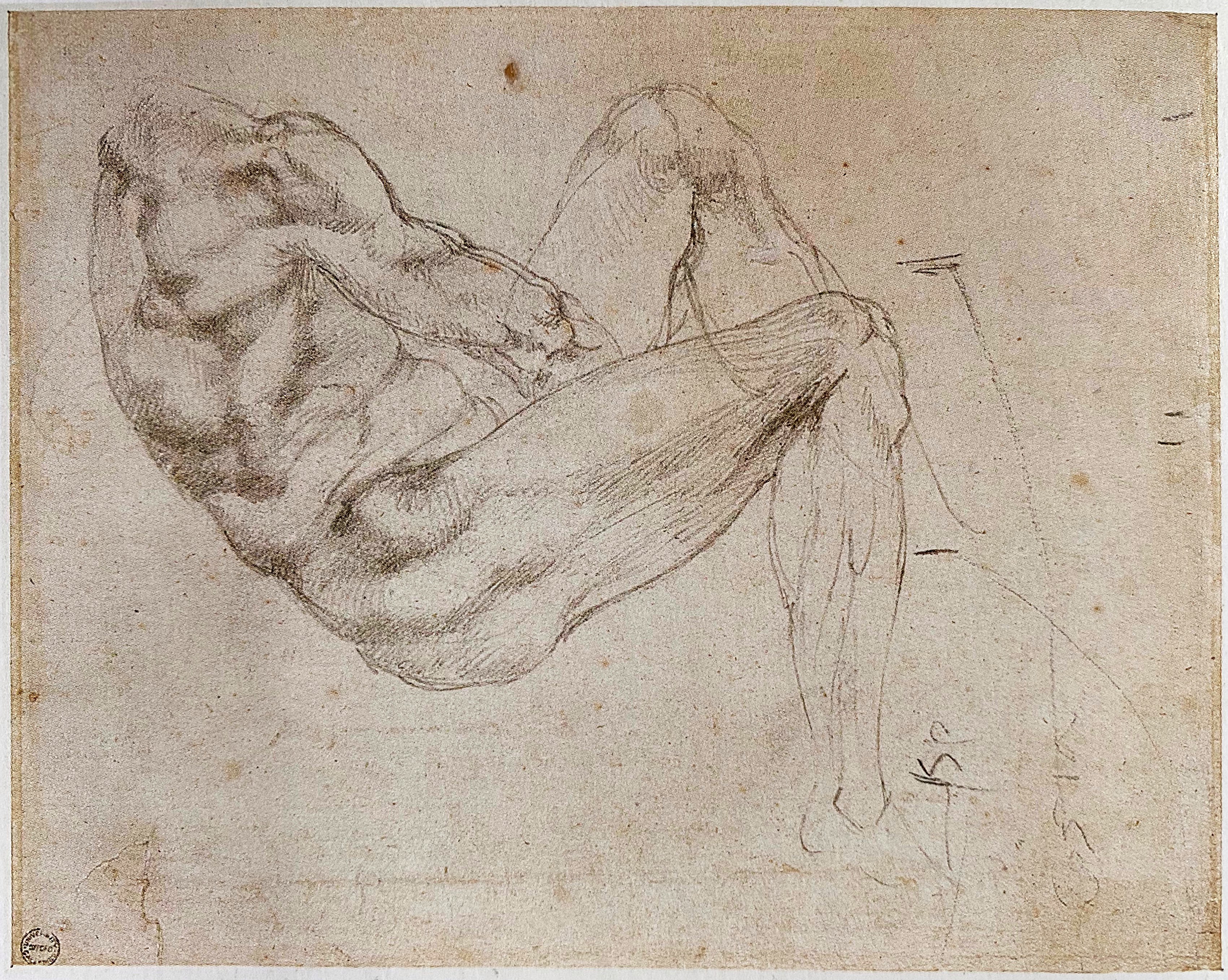 Michelangelo Buonarrotti, Ontwerptekening voor de Dag, ca. 1524-1525, zwart krijt op papier, Asmolean Museum (Oxford)