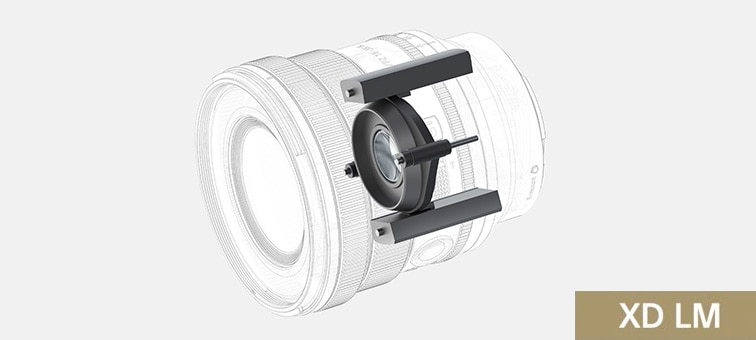 Illustration of XD Linear Motors construction for autofocus system