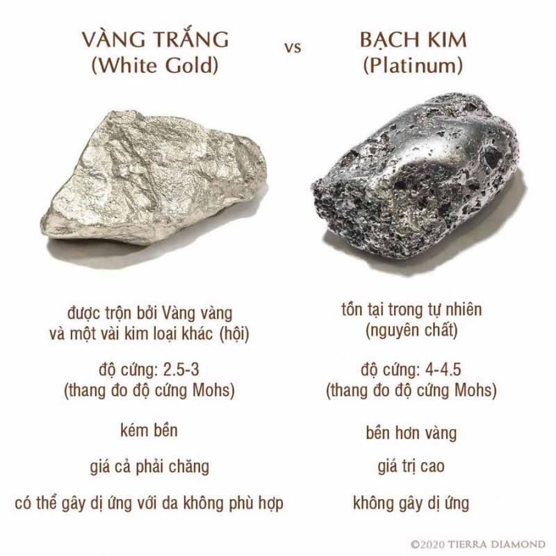 Sự khác biệt giữa Bạch kim (Platinum) & Vàng trắng (White gold)? 