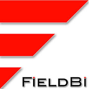 FieldBi DL Offline  Icon