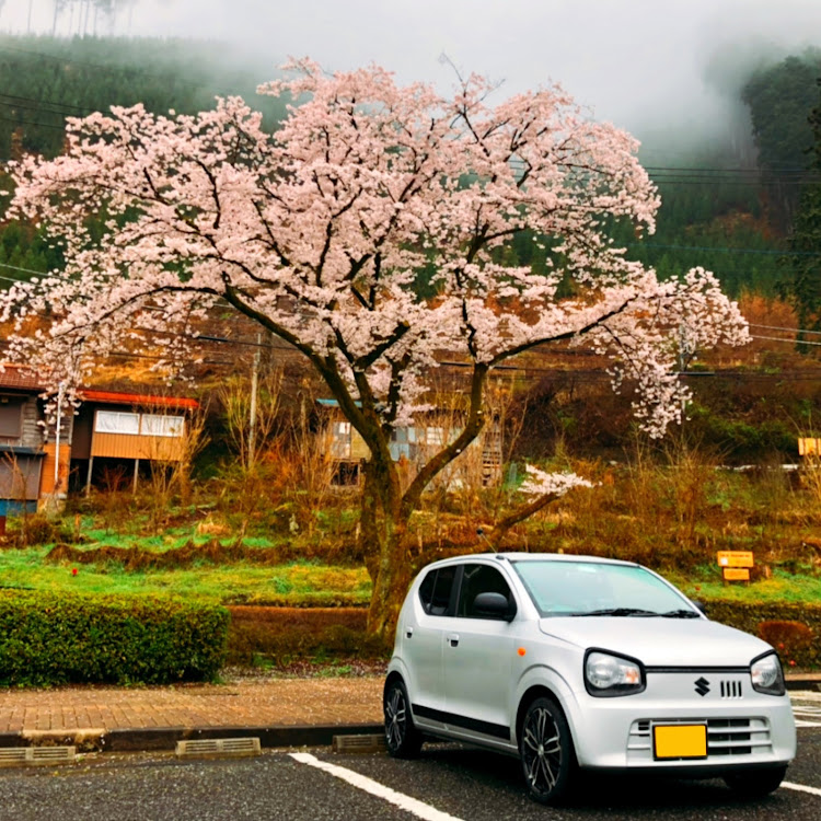 アルトの桜と愛車・桜・愛車に感謝・桜ホイール・ホイールマッチングに関するカスタム事例の投稿画像1枚目