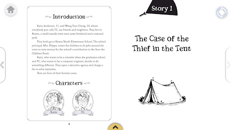 Bully Mysteries poster 12