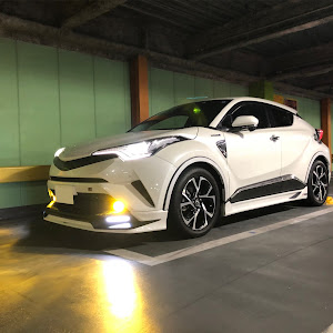 C-HR ZYX10