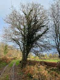 terrain à Lanty (58)