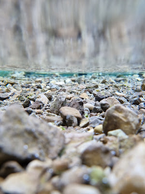 Sott'acqua  di Federicop