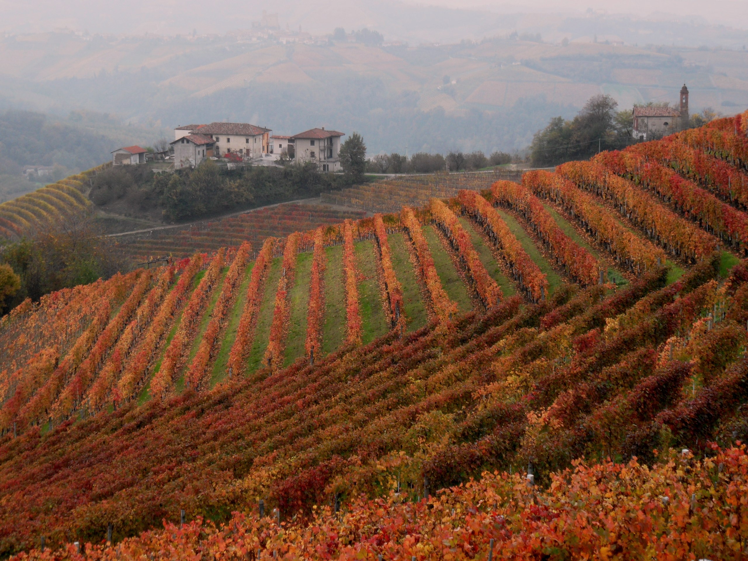 autunno arancione di patrizietta