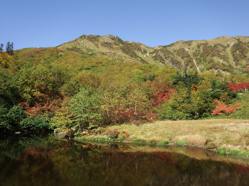 弓折岳を仰ぐ