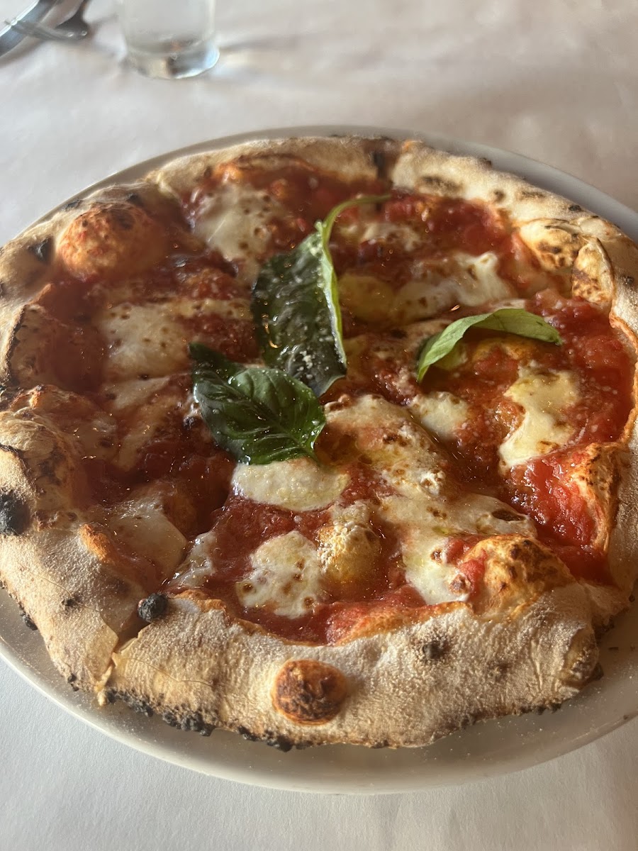 Gluten-Free at IL Dolce Ristorante