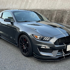 シェルビー GT350