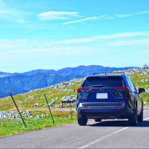 RAV4 MXAA54