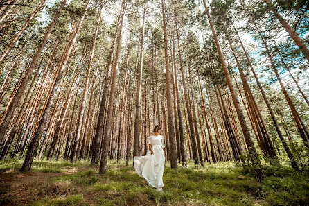 Pulmafotograaf Aleksey Zima (zimal). Foto tehtud 14 juuli 2017