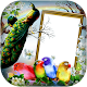 Download Love Birds DP for Insta/FB For PC Windows and Mac