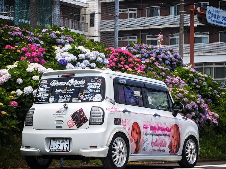 アルトラパンの紫陽花と愛車・紫陽花コラボ・今年は間に合いました😊💕・大分市明野・野中公園に関するカスタム事例の投稿画像1枚目