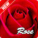 Rose Wallpaper icon