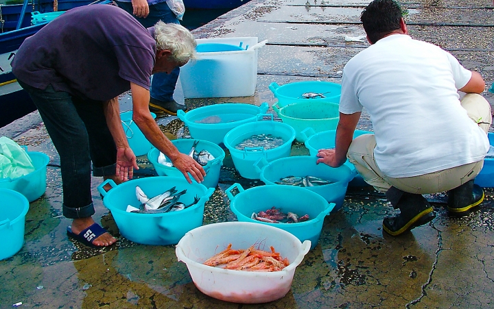 Prepararsi di Ciotta