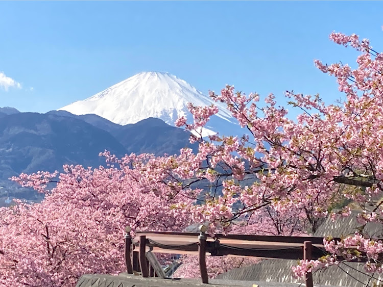 の投稿画像3枚目