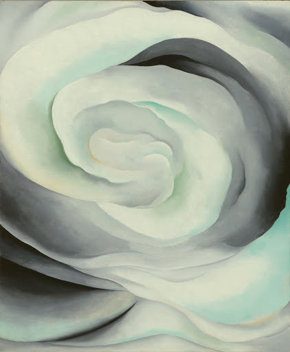Abstraction White Rose