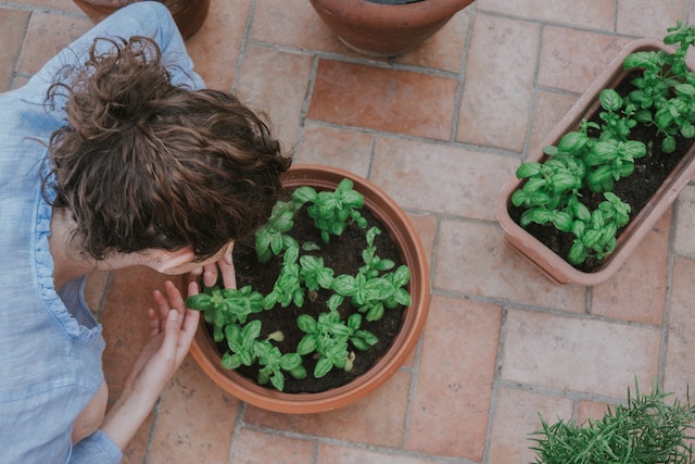 Transforming Your Garden