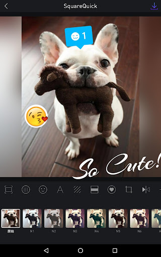 Photo Editor & Photo Collage - Square Quick Pro