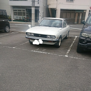 セフィーロ A31