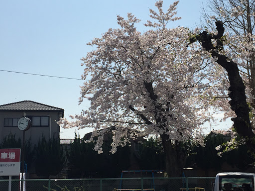 関根児童公園