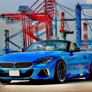 Z4 ロードスター G29