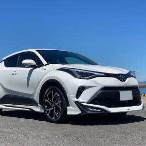 C-HR ZYX11