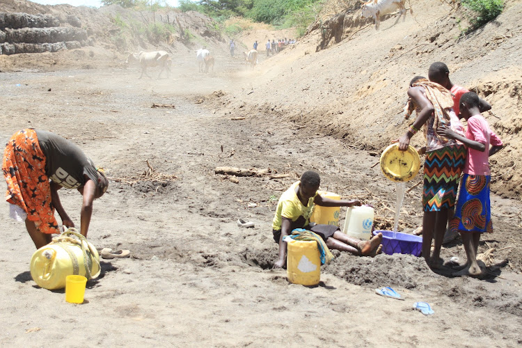 Women and girls fetch water from a hand-dug well at Sintaan in the dried up bed of River Perekerra in Baringo South subcounty on Monday