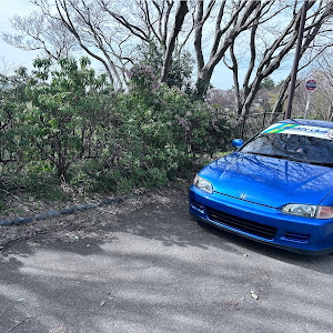 シビック EG6
