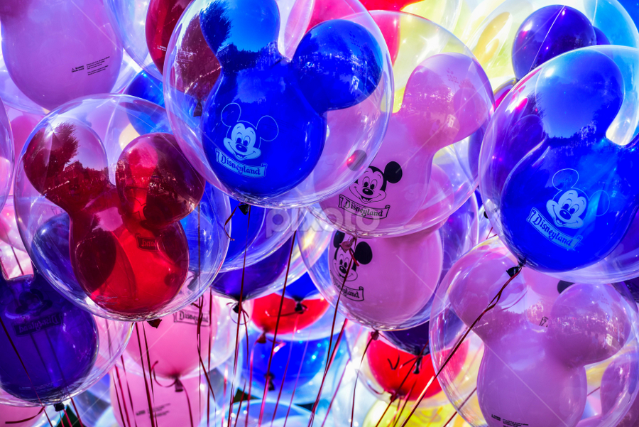 Disneyland balloons - Nest of Posies