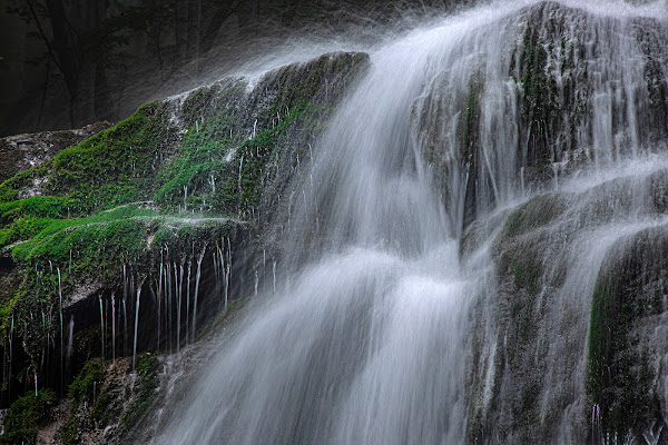 Aqua fontis di lorenzo_ciuni