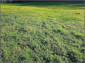 terrain à Aire-sur-l'Adour (40)