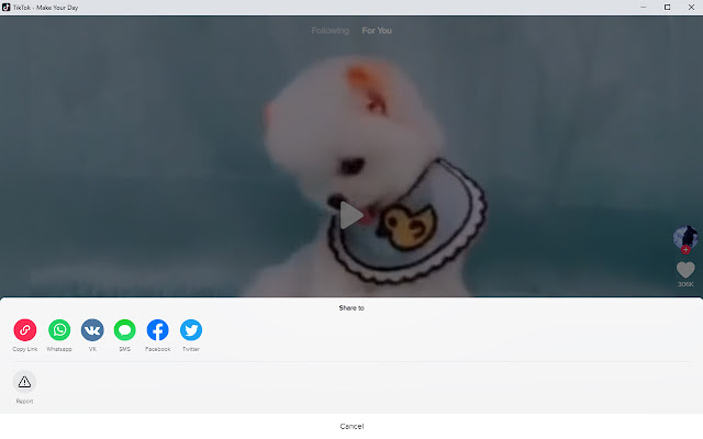 Web TikTok - TikTok Mobile View