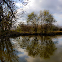 Riflessi di Ottobre di 