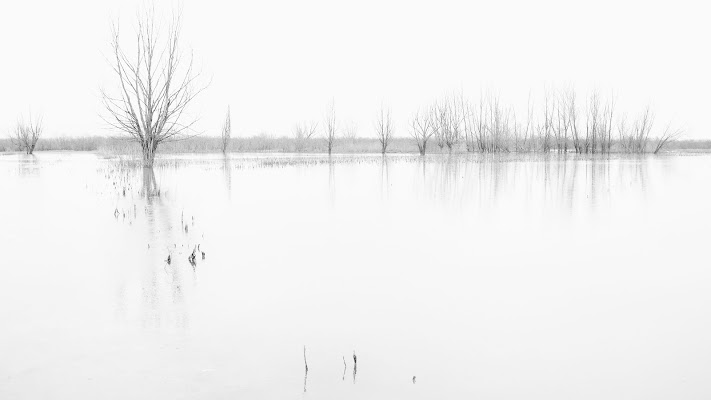 Paesaggio minimale. di effeenne