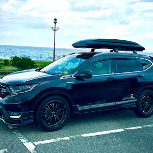 CR-V RW2