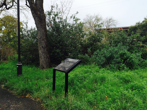 Native Plant Garden