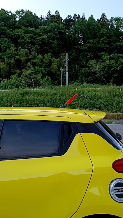 スイフトスポーツのMitsukiさんが投稿したカスタム事例の投稿画像1枚目