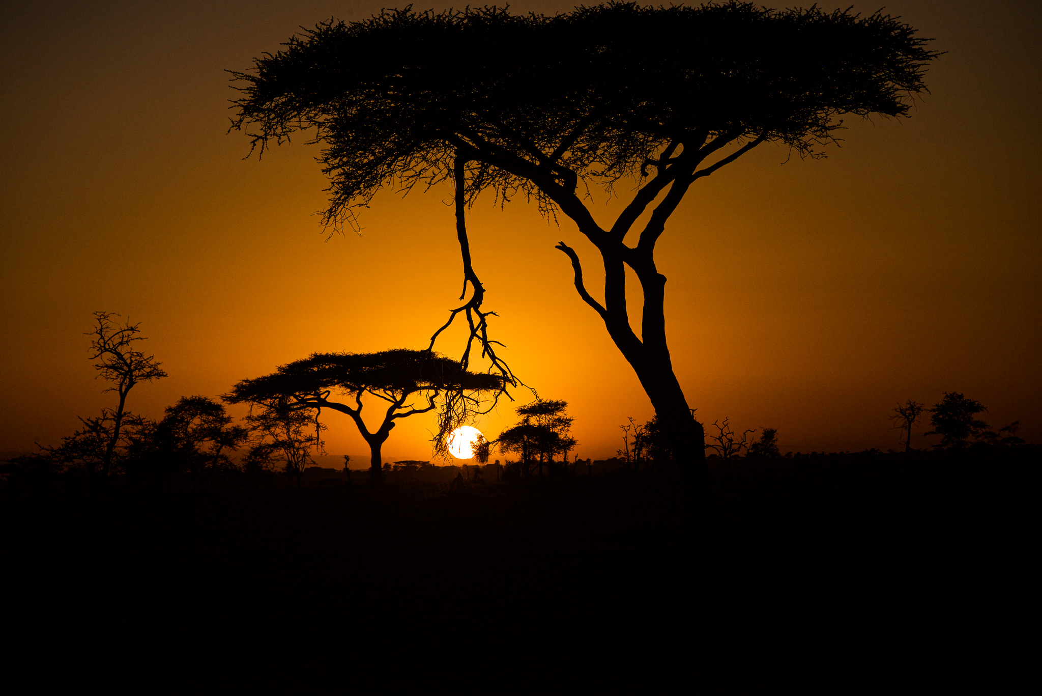 LA mia Africa di minobirillo